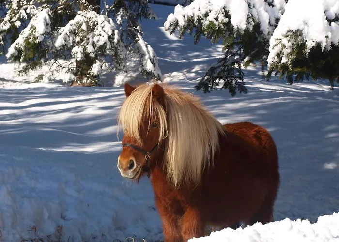 Pensionat Sonneck Lofer