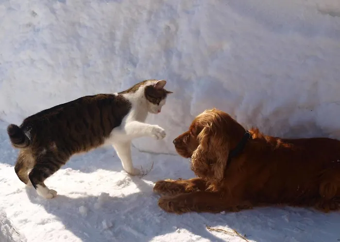 Penzion Sonneck Lofer